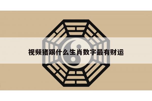 视频猪跟什么生肖数字最有财运