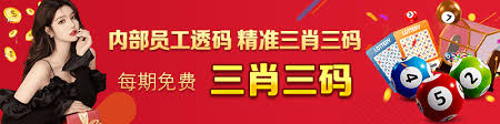 2023澳门三肖三码100%精准,豪华精英版79.26.45-江GO121,127.13