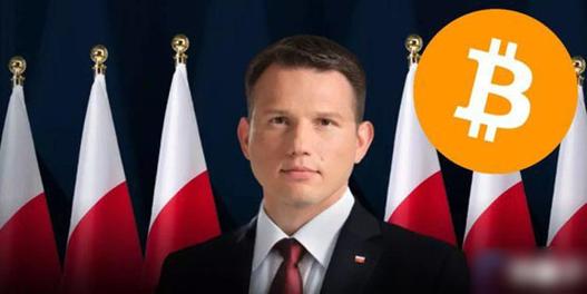 2025年6月 第8页
